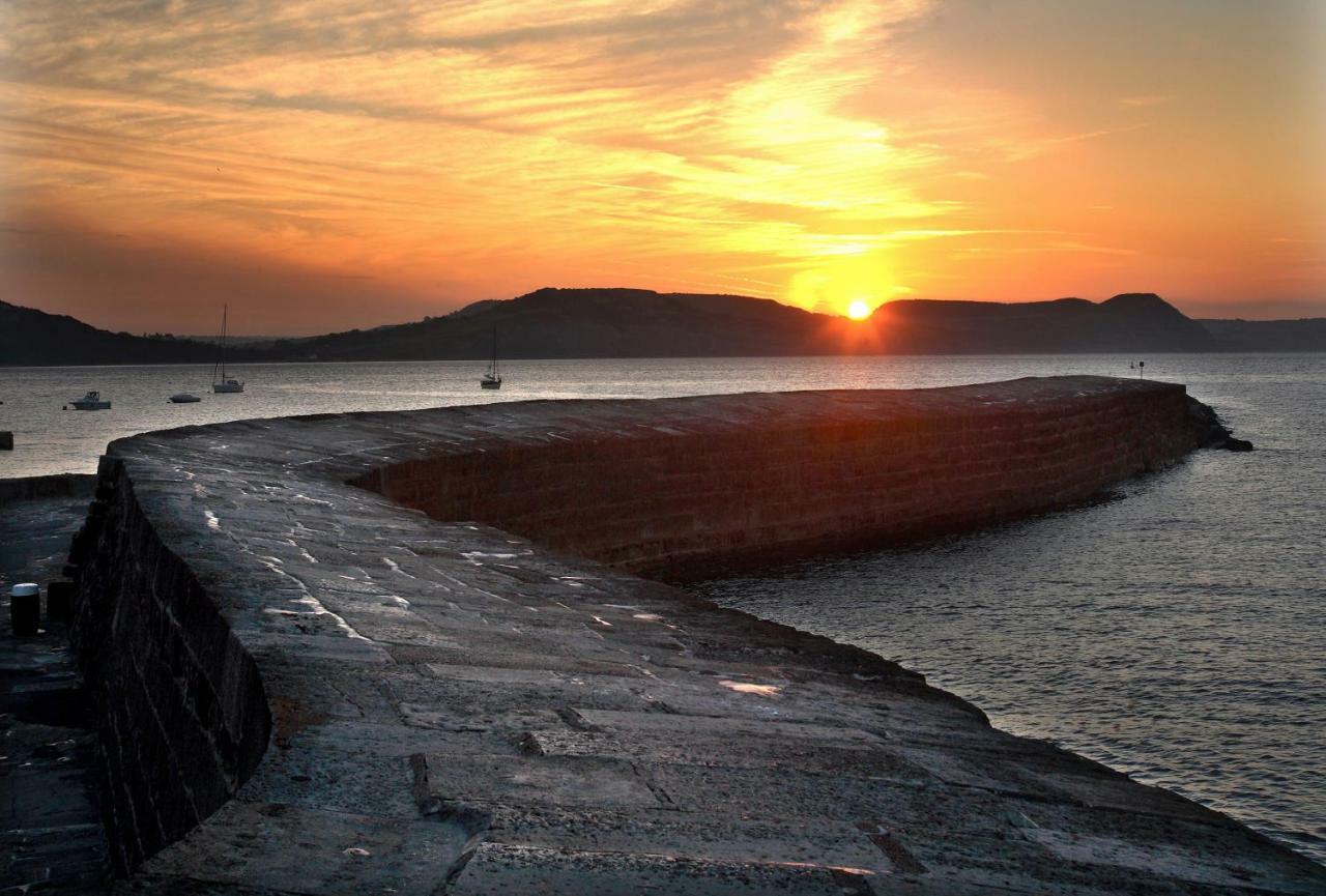 Appartamento 4A Dolphin Close Lyme Regis Esterno foto